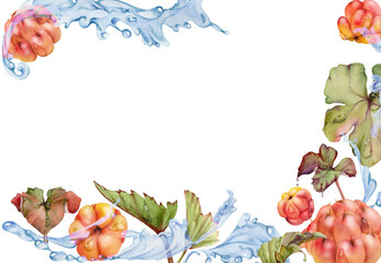 Cloudberry raspberry flying in wave water splashes with drops, hand drawn in watercolor, ripe red forest berry and leaves. Border frame illustration for restaurant, cafe menu, wedding, farmers market