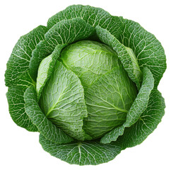 Fototapeta premium Savoy Cabbage Head with Intricate Leaf Veins and Vibrant Green Color on a Transparent Backdrop