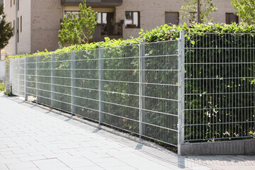 Hedge Mesh Fence. Green Hedgerow Hornbeam Hedge with Wire Fence on Perimeter Residential Building.