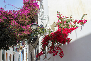 Colorful old steps in the city streets of Altea, Spain