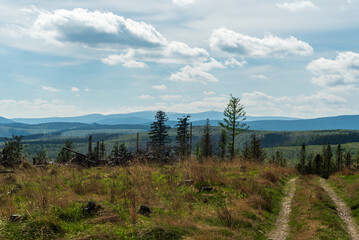 Obraz premium Hruby Jesenik with highest Praded hill from Solna hora hill in Zlatohorska vrchovina mountains in Czech republic