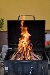 barbecue on the grill