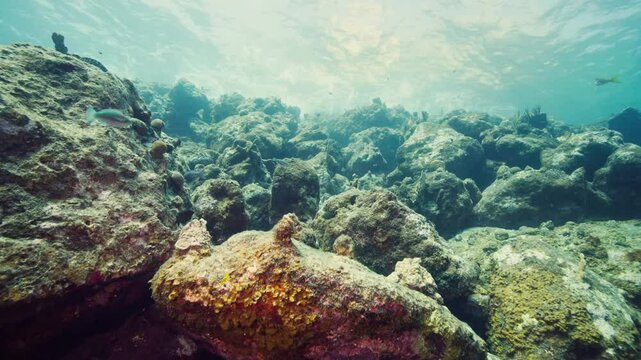 Pass over shot, underwater of Rocky Underwater system in Curacao. Waves crashing at 5m depth