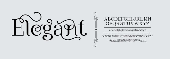 Serif font, elegant typography isolated letters. Script logo, vintage letter with beauty typeface. Classic creative ligature for wedding sign. ABC symbols English. Vector exact calligraphic set