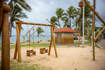 Wooden swings on a tropical beach with palm trees and ocean view.