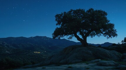Obraz premium Lone oak tree silhouette on mountaintop at night, starry sky, peaceful landscape, nature poster