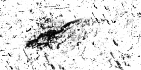 Vector black and white grunge abstract background with black on white old rough grunge and white rough vintage distress background.
old gray concrete texture wal