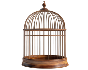 modern minimalist birdcage featuring sleek bars and round base, perfect for home decor or as stylish pet accessory. Its elegant design adds touch of sophistication to any space