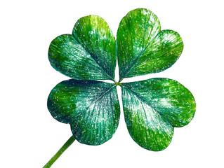 shiny four-leaf clover