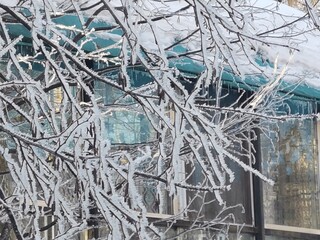 freezing fog and mist