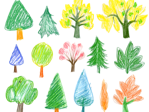 Collection of colorful crayon drawings of various trees and leaves on transparent background.  Simple, childlike style