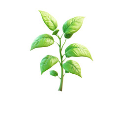 Obraz premium Vibrant Green Plant Illustration - Detailed Botanical Art