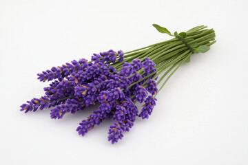A beautiful bouquet of fresh lavender flowers arranged elegantly on a white background. isolated on white background.