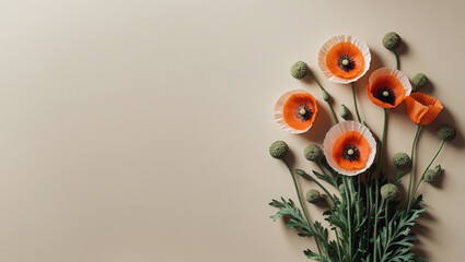 Minimalist floral decor: Poppies and pods on a beige background