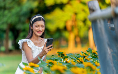 Asian woman in white dress using smartphone at sunflower garden. Young woman enjoying peaceful...