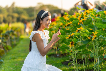 Asian woman in white dress using smartphone at sunflower garden. Young woman enjoying peaceful...