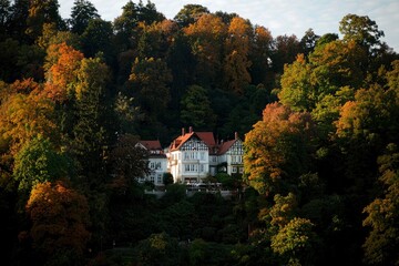 Fototapeta premium Mansion nestled in colorful foliage, autumnal ambiance. Possible vacation rental use