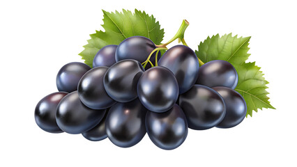 Fototapeta premium three black grapes on photo isolated on transparent background png