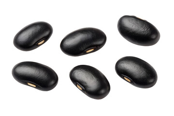 black beans  isolated on transparent background png