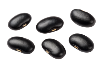 black beans  isolated on transparent background png