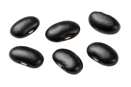 Naklejki black beans  isolated on transparent background png