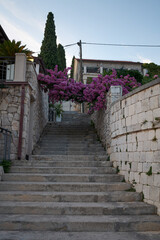 stairs to the castle