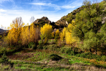 Fototapeta premium Otoño en el Cañón del rio Dulce