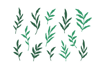 Set of different branches with leaves. Flat vector illustration.