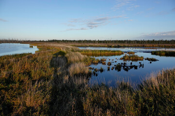Naturschutzgebiet Anklamer Stadtbruch in der Abendsonne	
