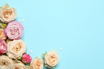 Beautiful composition with peony roses on color background