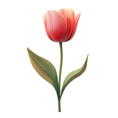 Stunning Pink Tulip - A Springtime Floral Masterpiece