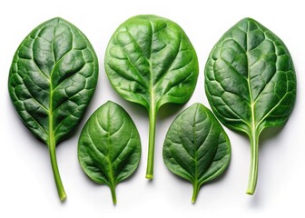 Obraz premium Spinach PNG Images: High-Resolution Food Photography, Isolated Leafy Greens, White Background, Low Light Images