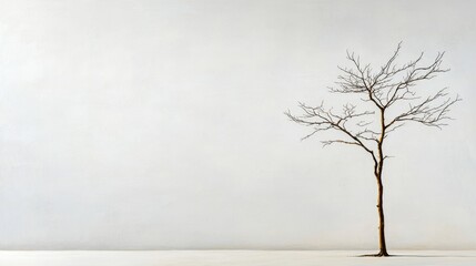 Bare tree standing alone in a minimalist white room interior with natural light and shadows
