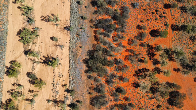 A dried out river bed in the Australian outback, seen from above