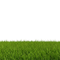 Green grass ground on transparent background 