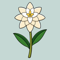 flower and butterfly