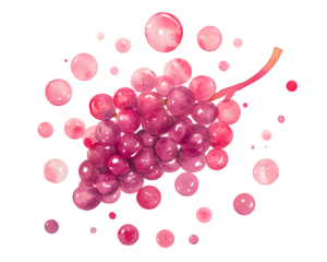 Watercolor painting of pink grapes with pink dots on transparent background