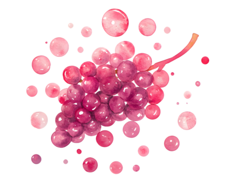 Watercolor painting of pink grapes with pink dots on transparent background