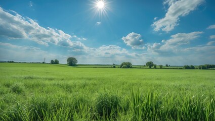 Vast green field under a bright blue sky with fluffy clouds and sunlight shining down on the landscape Copy Space