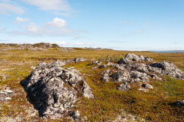 Landscape of rocky tundra on the Rybachy Peninsula, Murmansk region, Russia