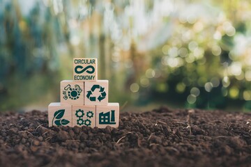Sustainable Circular Economy Concept Wooden Blocks Eco Friendly Business Growth Recycling Nature Environment Green Sustainable Development Strategy Plan Image Earth World Future Change Global Design  