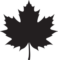 Maple leaf vector silhouette icon on white background