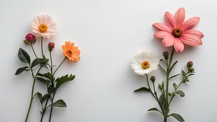 Colorful flowers arranged on a light background with green leaves Copy Space