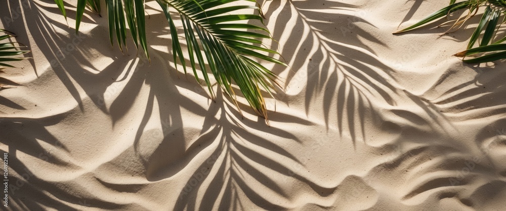Aufkleber Palm tree shadows on soft sand creating textured patterns in bright sunlight nature background Copy Space