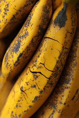 close up of bananas