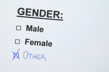 Fototapeta premium Module with gender text, Male and Female options, but flag on Other, written in pen. Gender plurality.