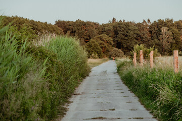 natura