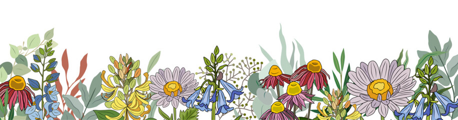 Wild blooming meadow summer flowers and herbs border. Horizontal banner, floral overlay backdrop. Botanical colorful hand drawn vector illustration isolated on transparent background.
