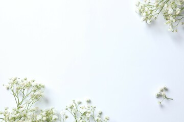 Obraz premium Top view photo with gypsophila flowers on white background 