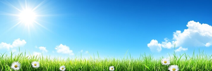 Obraz premium Sun-Drenched Meadow Vibrant Landscape of Lush Grass and Blooming Daisies under Clear Blue Skies